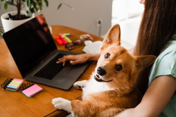 iStock-1413492609-600x400