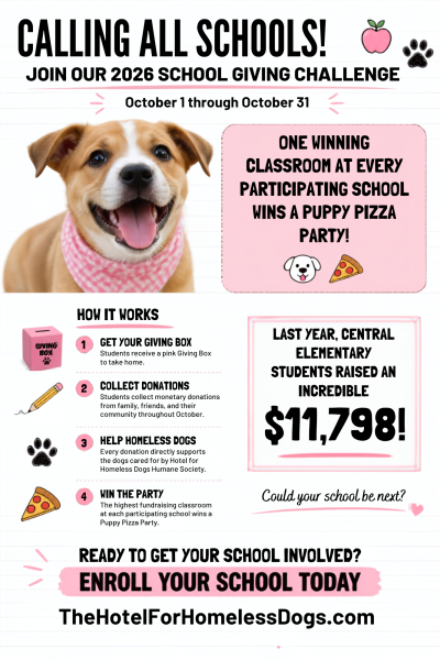 2026 School Giving Challenge Flyer
